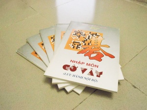 Nhập môn cờ vây